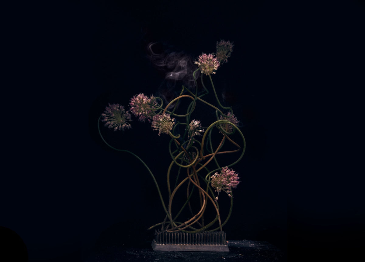 Scent as a feeling: An interview with still life artist Sonia Rentsch