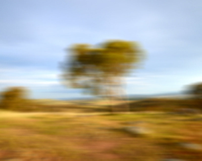 Luke Brown 'Australian Sandalwood' Mix
