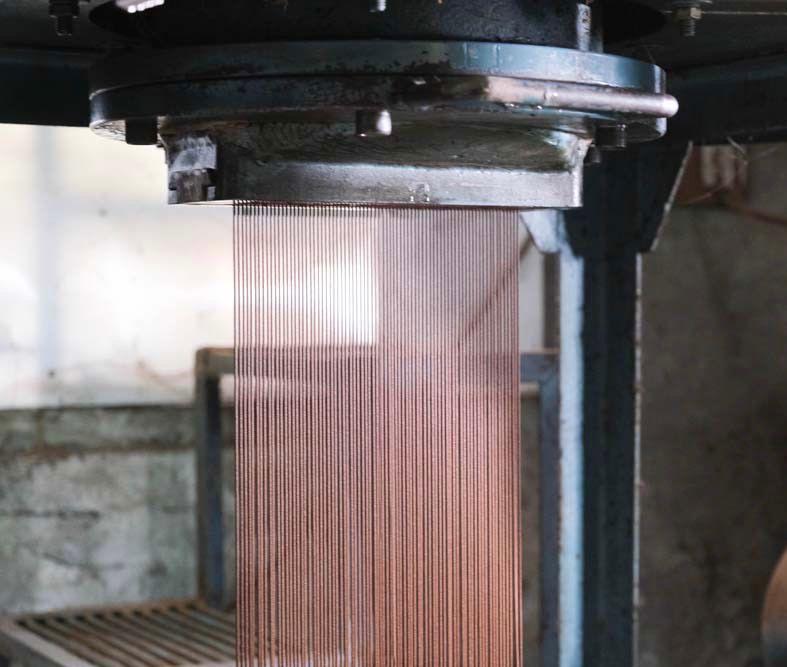 Taiwanese Hinoki source