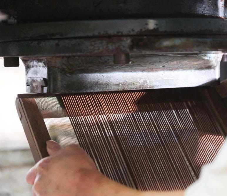 Taiwanese Hinoki source